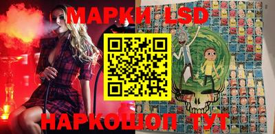 шишки Кимры