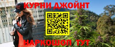 шишки Кимры