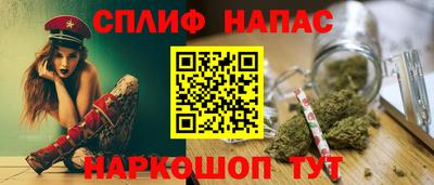 шишки Кимры