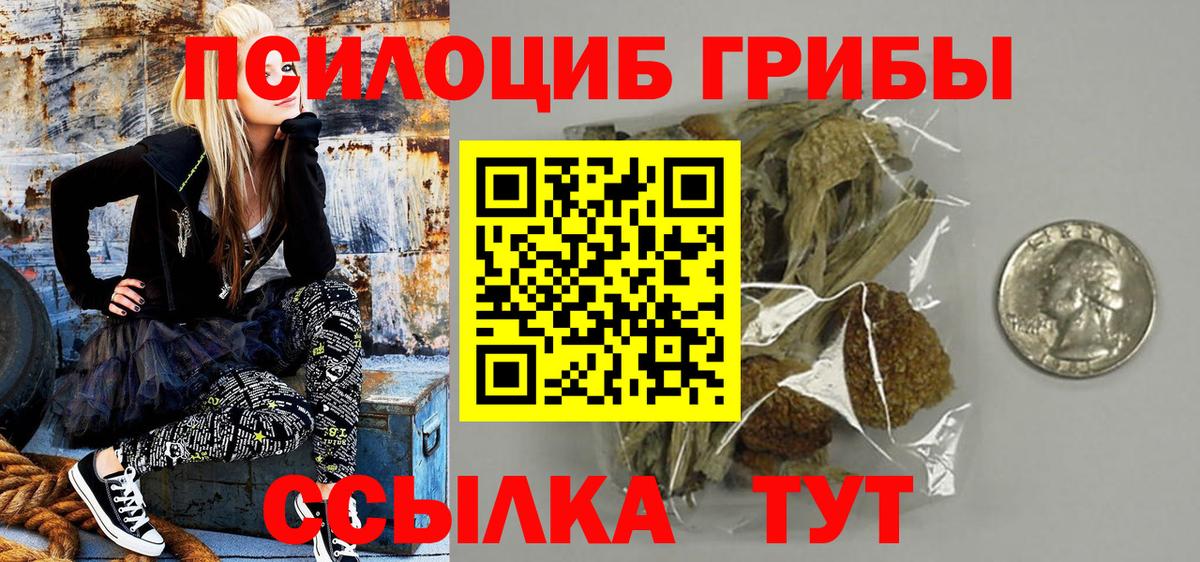 Псилоцибиновые грибы Psilocybine cubensis Кольчугино